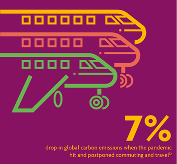 7%25 drop in global carbon emissions graph